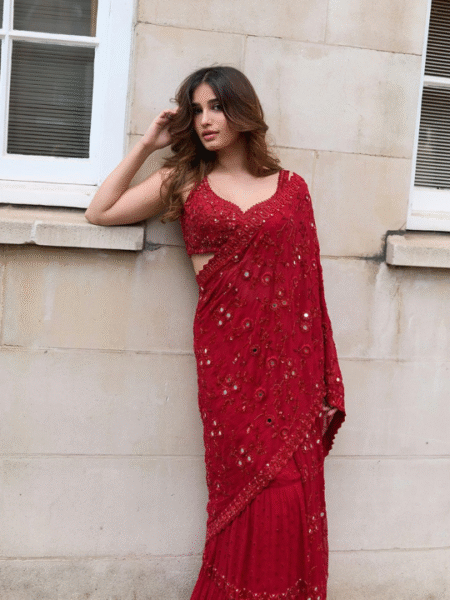 Jenna Handcrafted Mirror Work Saree