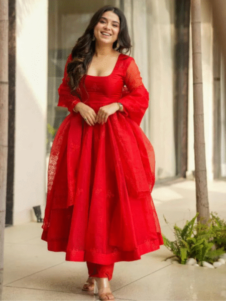 Anarkali Mirror Work Gown
